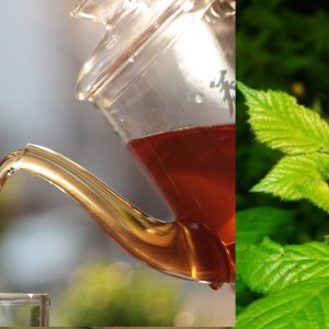 herbata z liści jeżyny