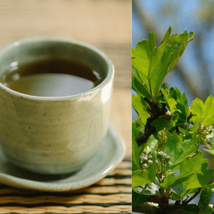 herbata z kwiatów i liści głogu